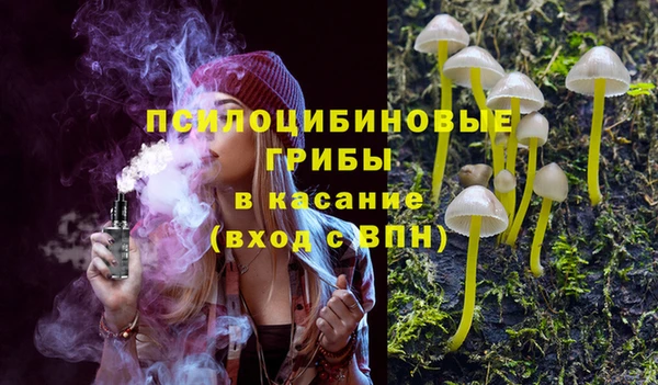 герыч Медногорск