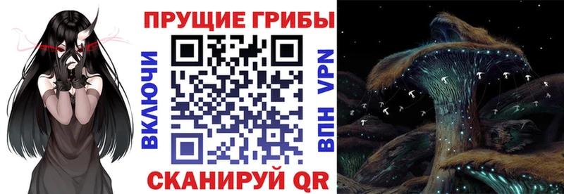 Галлюциногенные грибы GOLDEN TEACHER  Купить закладки  Дербент 